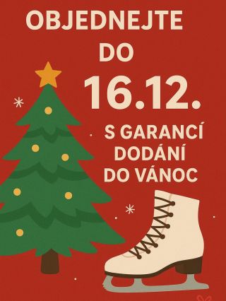 Nenechávejte vánoční dárky na poslední chvíli 🎄✨ 📦 Objednejte do 16. 12. a o doručení do Vánoc je postaráno.🎁⛸